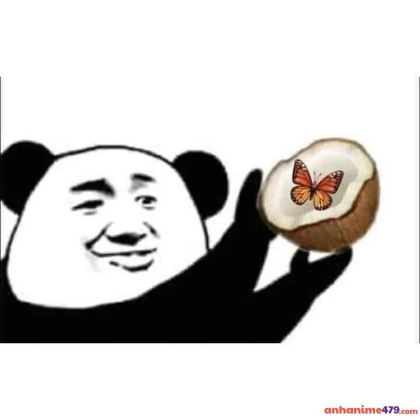 vừa cười vừa khóc meme chế dễ thương