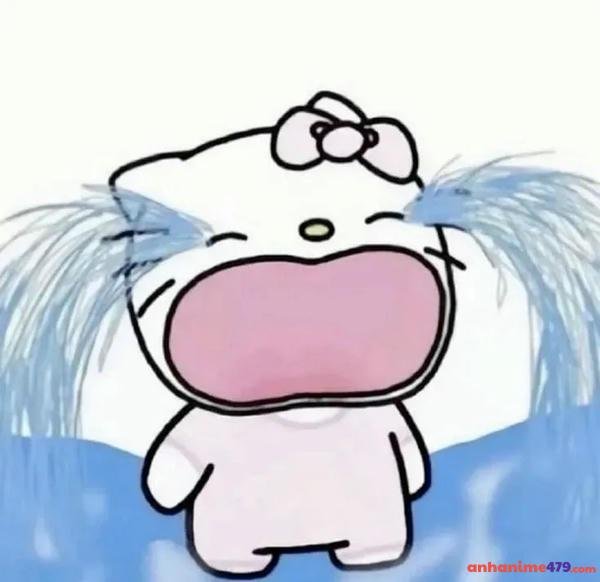 vừa cười vừa khóc meme cực hài