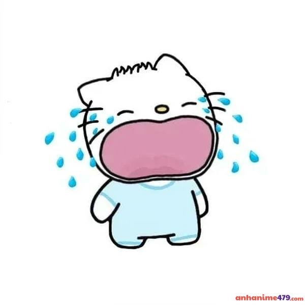 vừa cười vừa khóc meme meme buồn cười