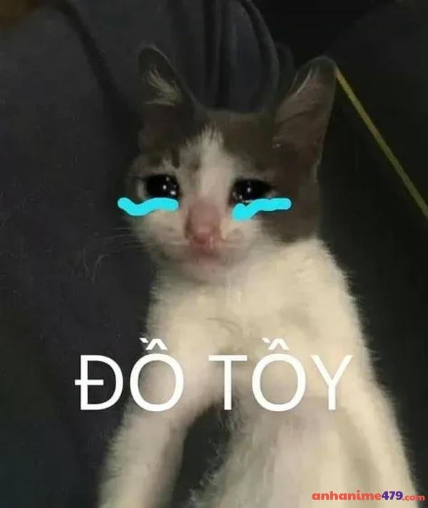 vừa cười vừa khóc meme meme sáng tạo